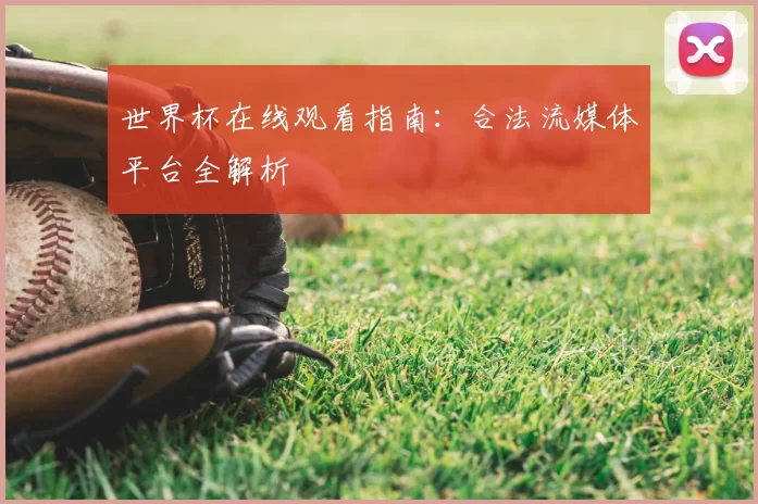 世界杯在线观看指南：合法流媒体平台全解析