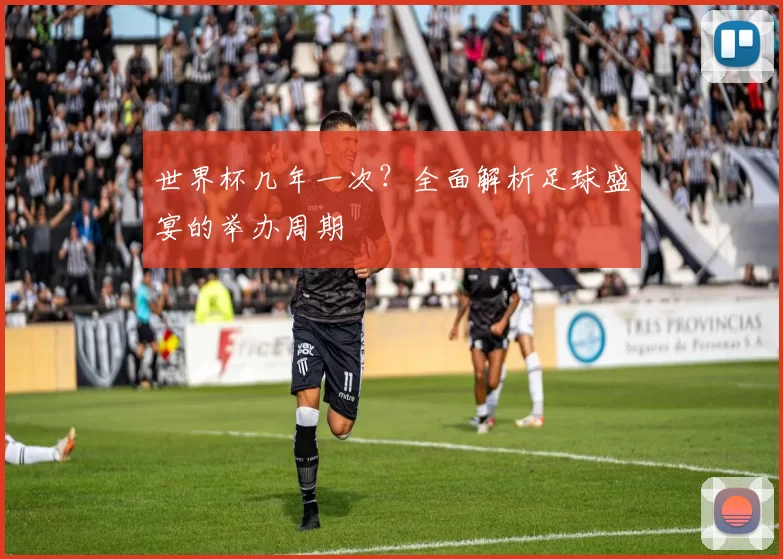 世界杯几年一次？全面解析足球盛宴的举办周期