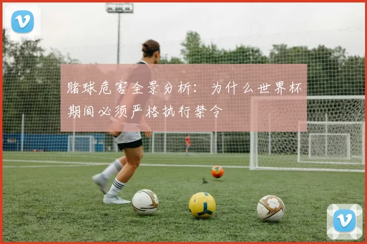 赌球危害全景分析：为什么世界杯期间必须严格执行禁令