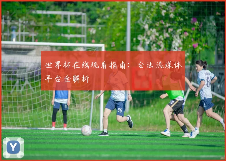 世界杯在线观看指南：合法流媒体平台全解析