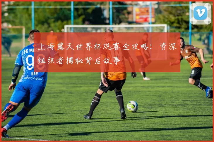 上海露天世界杯观赛全攻略:资深组织者揭秘背后故事