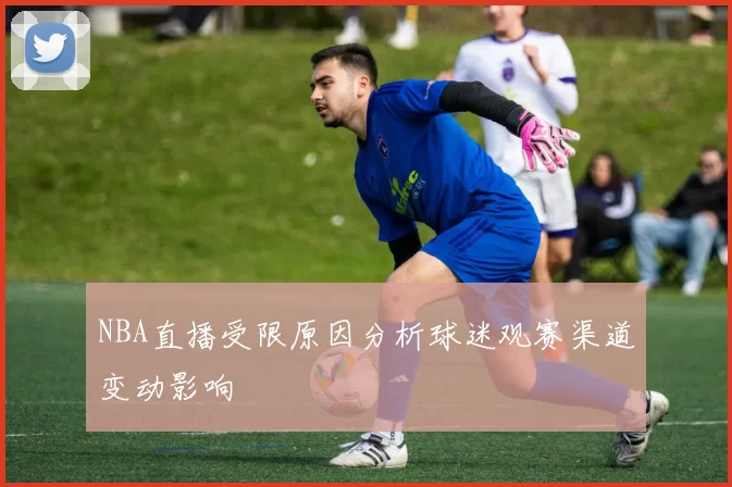 NBA直播受限原因分析球迷观赛渠道变动影响