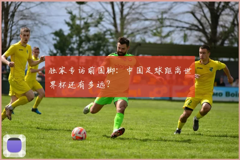 独家专访前国脚:中国足球距离世界杯还有多远?